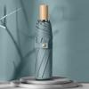 Nanqiao Minimalist Wood Handle Folding Umbrella