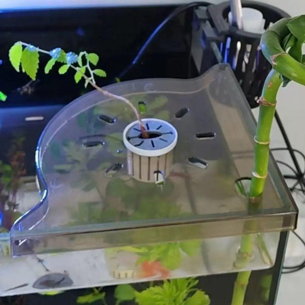 New Non-Punch Aquarium Corner Shelf Transparent Drainable Fish Tank Storage Rack Aquarium Landscape Stand