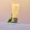Black Rice Moisture Airy Fit Daily Sunscreen (Organic Tea) 50g