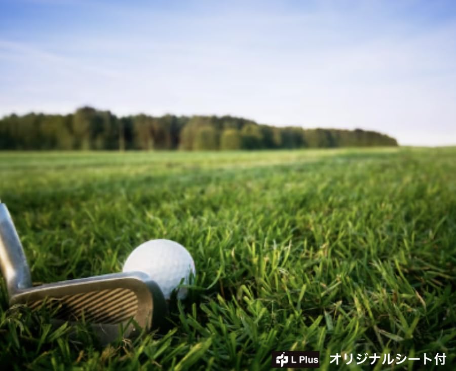 Bridgestone 2024 TOUR B XS Tour B X S Corporate 3 Dozen Set 36 Balls Original Sheet Included