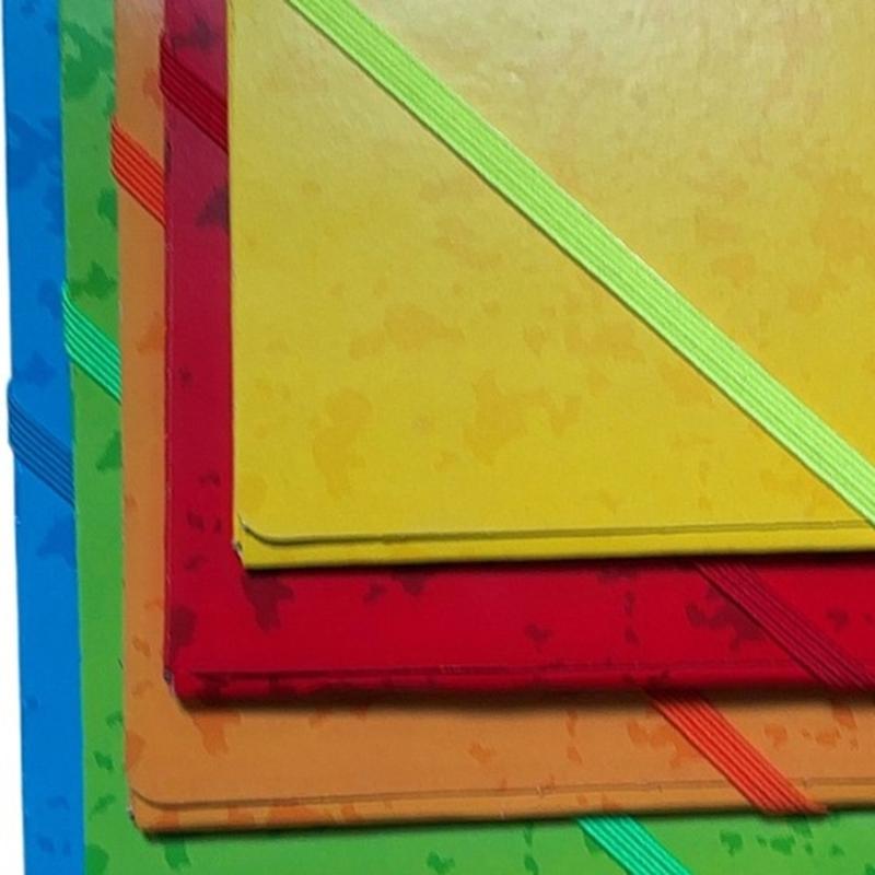 A4 Document Organiser File Folders with Elastic Closure File Organiser Sorting Folders Document Folders for School Office