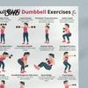 Istruzioni Esercizi con Manubri 5 Pezzi Poster Allenamento, Grafico da Casa per Braccia Allenamento Corpo Intero Gambe Fianchi Core, Guida Wall Art Senza Video