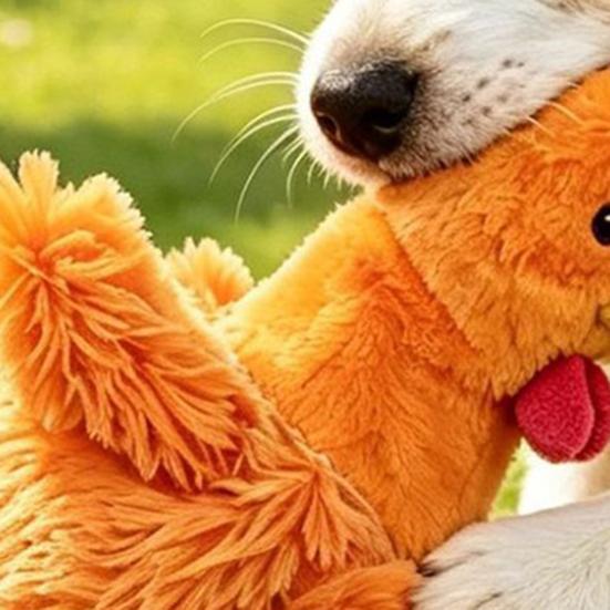 Anti Bite Plush Hen Toy Simulated Chicken Dog Toy, Squeaky Interactive Chew Teeth Grinding Toys for Puppies Corgi, Durable Resistant