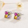 Women Elegant Multicolore Crystal Ear Stud Earrings