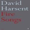 Fire Songs by David Harsent Paperback Book 9780571316083