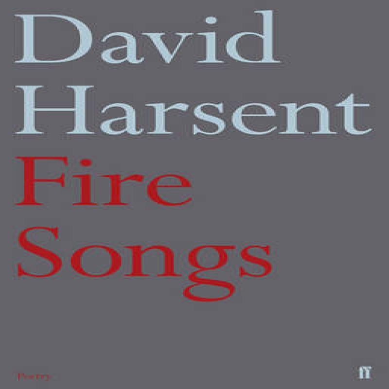 Fire Songs by David Harsent Paperback Book 9780571316083