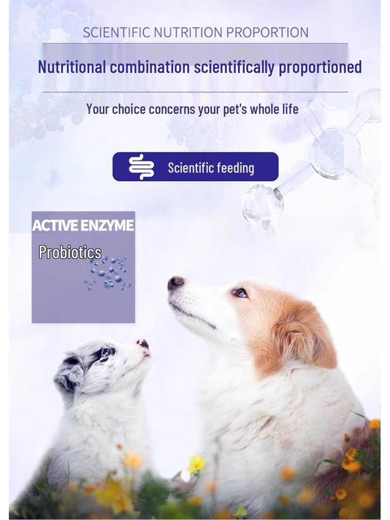 Isha Oga Teddy Golden Retriever Adult Dog Food, Milk Cake Flavor, 20kg (40lbs)