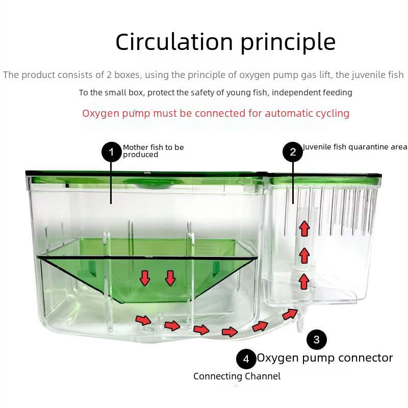 Double-Layer Fry Hatching & Isolation Box for Fish Breeding