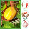 Plastic Gardening Net Watermelon Three-dimensional Planting and Hammock Bag Supplies Garden Stuff Tote Vegetable Agriculture