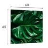 PANEL SZKLANY DO KUCHNI 60x65 Monstera