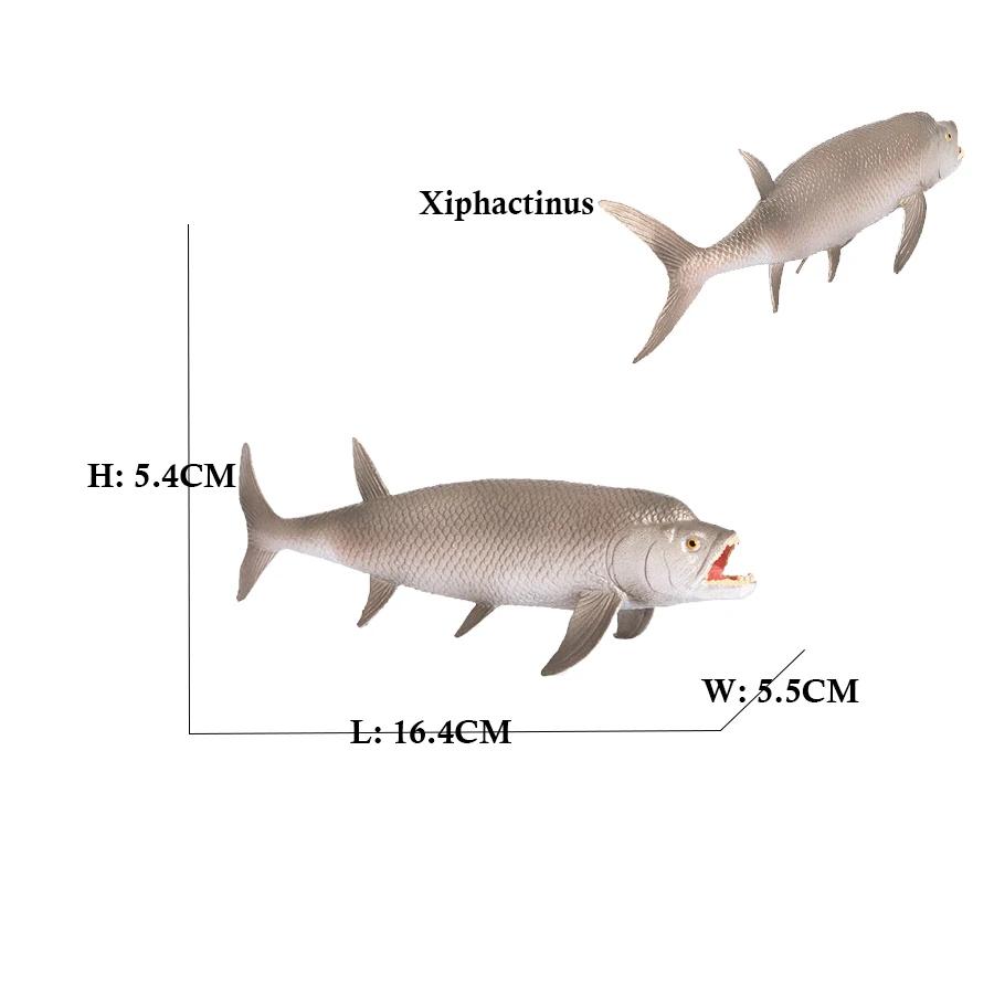 Marine Toy Animals Figures Sword fish Sailfish Salmon Shark Piranha Animal Figurines Action Figure Children Toys Games kids Gift