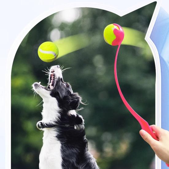 Haustierwerfer Hundeballwerfer Freihändig Sauberer Spaß Spielzeug für Hunde Erhöhen