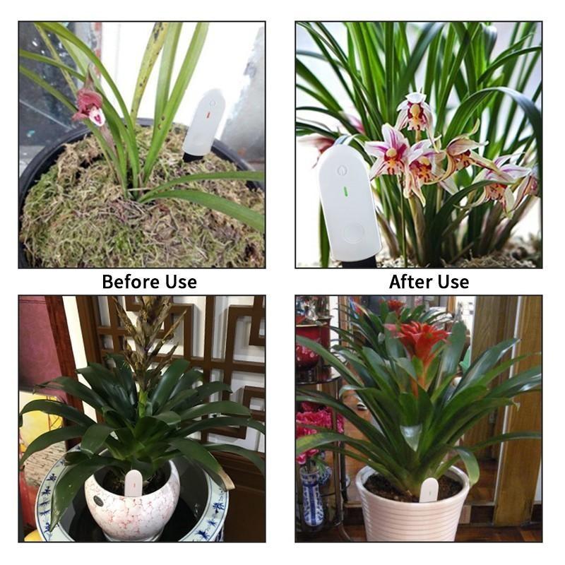 Smart Plant Soil Moisture & Humidity Meter for Horticulture