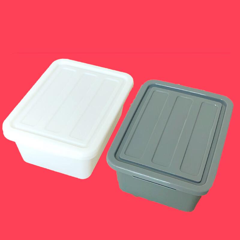Homeglen Plastic Dish Storage Bin with Lid