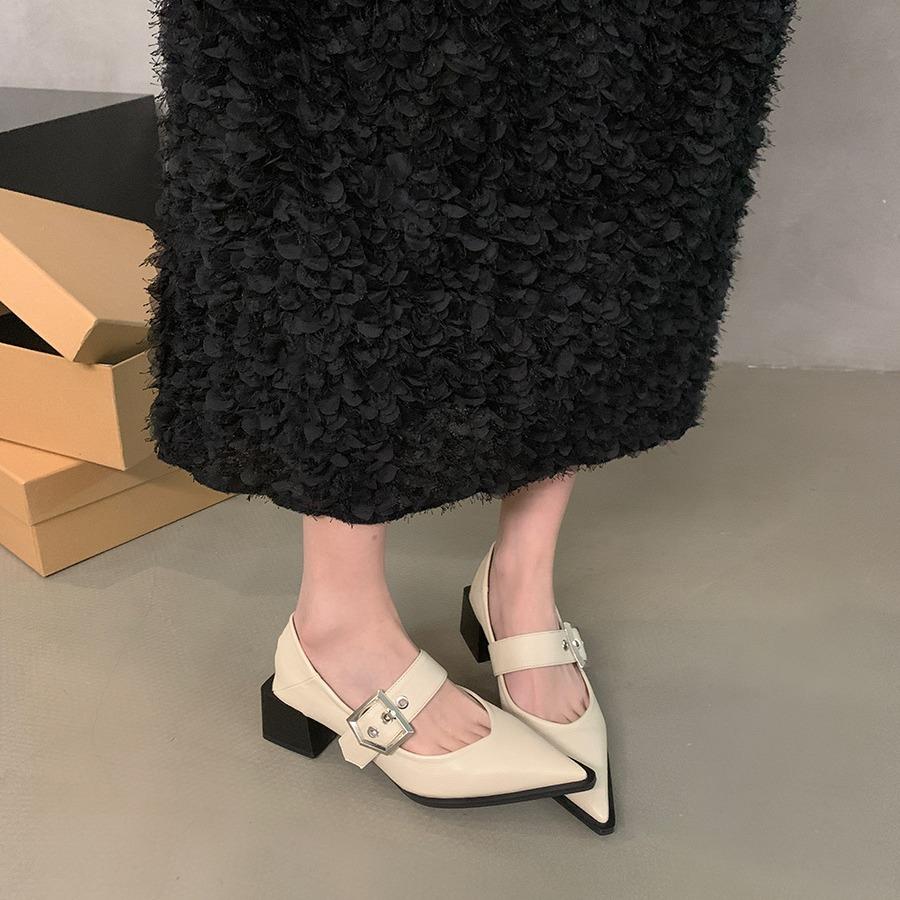 Retro pointed Mary Jane small leather shoes women's autumn and winter new French thick heel single shoes