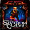 The Shadow Glass by Josh Winning Paperback Book 9781789098617