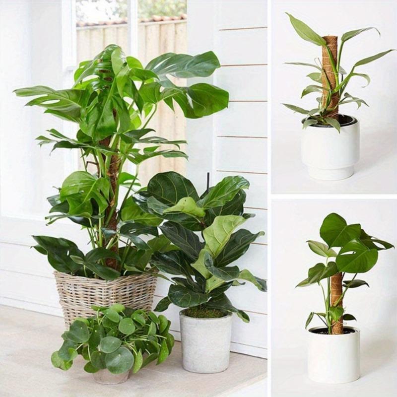 Garden Supplies Potted Plant Vine Climbing Pole Coconut Palm Stick Flower Holder Coconut Palm Climbing Stick