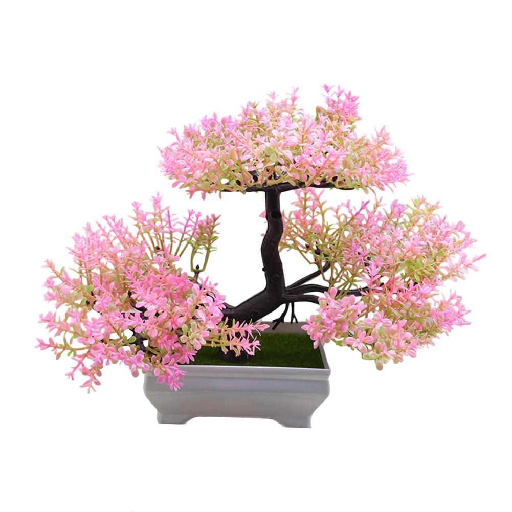 Low Maintenance Lifelike Bonsai No Watering Needed