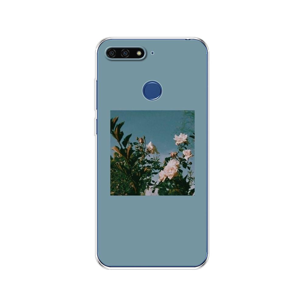 For Huawei Honor 7C 5.7 Inch Case Cover Soft Silicone TPU Cute Cover Back Protective Phone Case For Huawei Honor 7c Aum-L41 Bags
