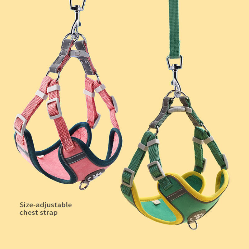 Dog Leash Harness Collar Full Set