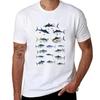 2025 New Know Your Tuna TShirt T Shirts for Man Graphic Tees Man T Shirts High Quality Luxury Brand TShirt Highquality
