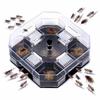 Cockroach Trap Bug Catching Tool Cockroach Box Home Indoor Kitchen Safety Physical Bug Size Pass Kill Trap Trap