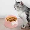 Cat Bowl Feeding Dishes Stable Novelty Anti Slip, Bow Tie Decorated, Pet Feeder Water Cats for