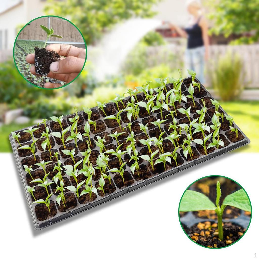 10 Children's Seed Trays with Holes