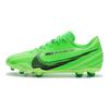 Nike Mercurial Vapor 15 Club MG GS Dream Speed - Green Strike Detské kopačky štadiónovo-zelená čierna FJ7188-300