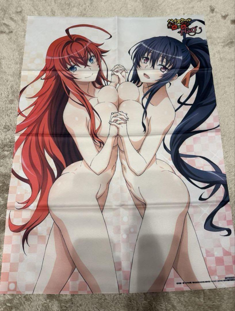 

[USED] High School DxD HERO Sofmap All Volume Bonus B2 Fabric Poster.