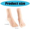 Size 36 Female Foot Replicas TPE Construction Foot Mannequin Foot Anatomy Training Tool Suitable for Shoe Marketing