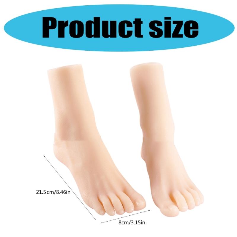 Size 36 Female Foot Replicas TPE Construction Foot Mannequin Foot Anatomy Training Tool Suitable for Shoe Marketing
