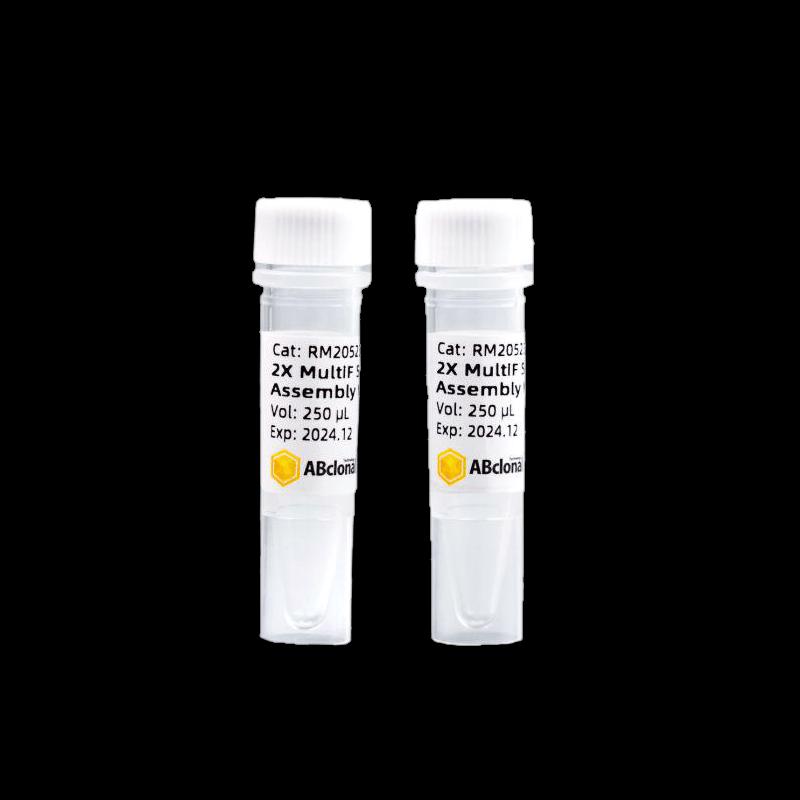 Muxi DpnI Restriction Enzyme