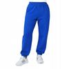 Sweatpants Women' Youth Insulated With Fluff Autumn Winter Cornflower