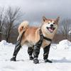 Dog Shoes Foot Protector For Dogs With Suspender For Injured Stop Licking Outdoor Walking Rain Hot Weather Dog Rain Cover