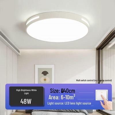 Modern Minimalist LED Ceiling Light