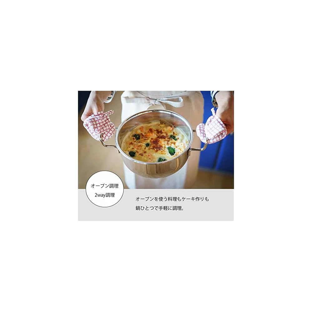 Miyazaki Seisakusho Geo Double-Handled Pot 20cm Made in Japan IH Compatible All Heat Source