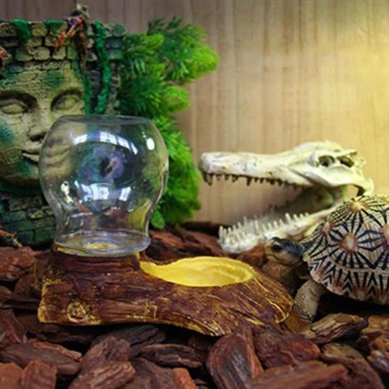 Produkty dla zwierząt Jednoczęściowe Miski do picia dla zwierząt Miska dla gadów Żółwia