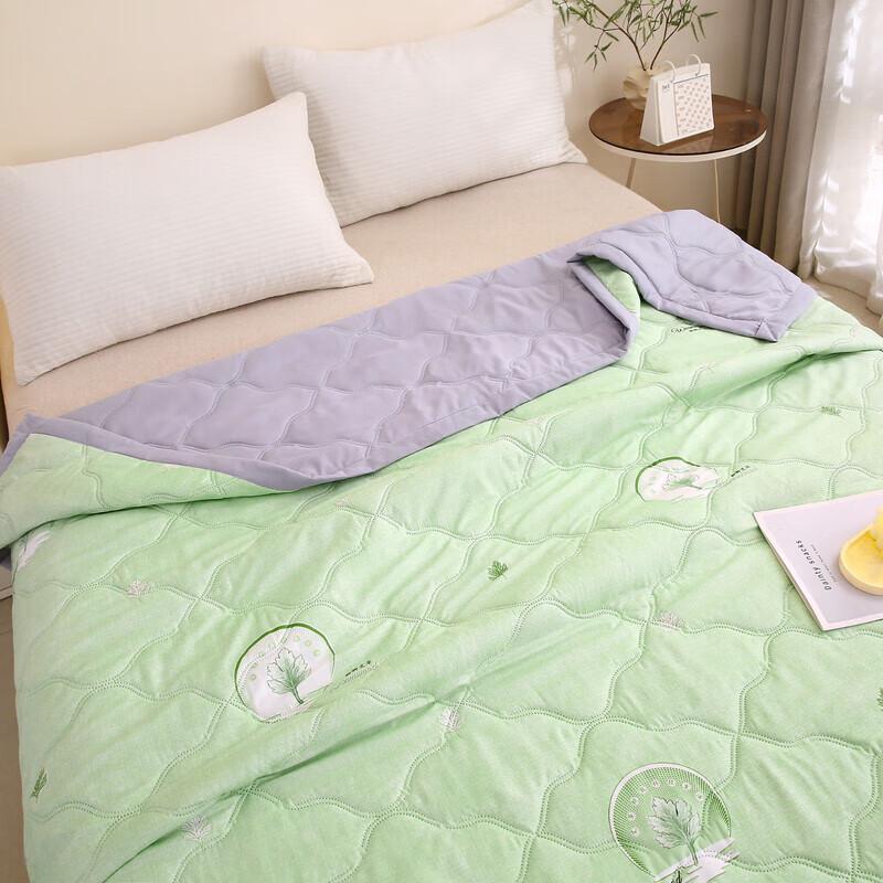 Qingqing Wormwood Antibacterial Quilt