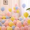 "Non-toxic Macaron Color Balloons - Multiple Colors for Event Decoration"