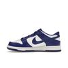 Nike Dunk Low GS Concord Kids Sneakers Blue White University-Red FB9109-106