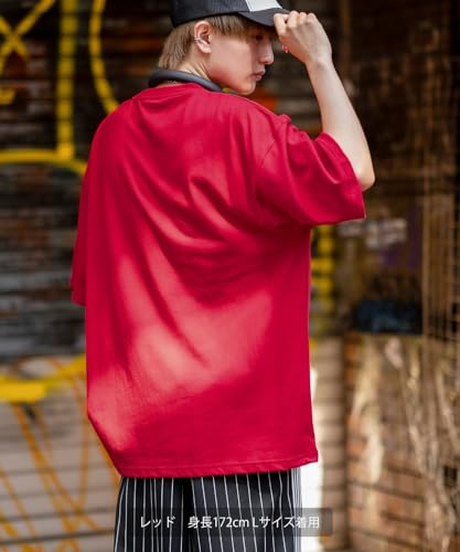 IMPROMES Casual SIDEWAYSTANCE Embroidered Downer Fox Short Sleeve T-Shirt, Men's, Ash