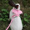 Small Animal Rabbit Harness with Leash Cute Bunny Collar Pet Bunny Supplies Cat Harness & Leash Set for Adult Guinea Pig Ferret