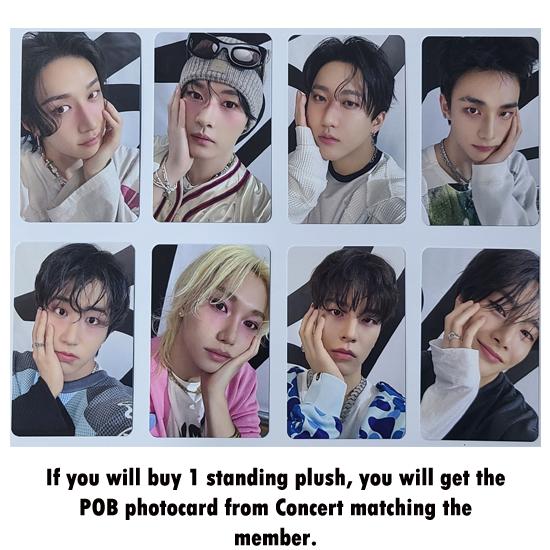 Stray Kids Skzoo Plush Standing - celebrATE from Concert