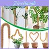 Estilo Minimalista Moderno Estaca para Plantas Trepadeiras com Design Flexível de Casca de Coco