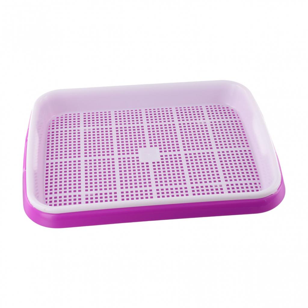 Tablett Leicht zu reinigen Keimschale Getreidekeimung