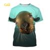 T-shirts Animals Funny Seal Fashion Summer Crew Neck 3D Print TShirts Boy Girl Kawaii Oversized  Casual Streetwear Tee Clothes