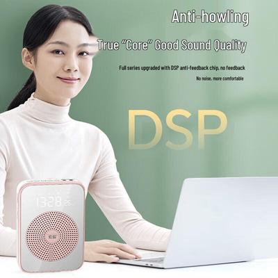 SOAI S350 Portable Anti-Howling Voice Amplifier CN Plug (adapter Included)