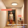 Smart RGB Ceiling Light LED Works with Alexa Flush Mount Light Fixture DIY Colors WiFi Dimmable Low Profile Ambient Light Fixture for Bedroom Living