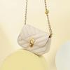 Women's Light Luxury Chain Crossbody Bag: Versatile Spring/Autumn Underarm Bag